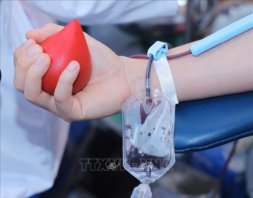 All People’s Voluntary Blood Donation Day celebrated  - ảnh 1