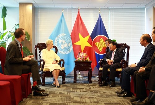Việt Nam thúc đẩy các mối quan hệ hợp tác song phương - ảnh 3