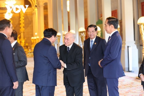 Lãnh đạo các nước ASEAN tiếp kiến Quốc vương Campuchia - ảnh 1