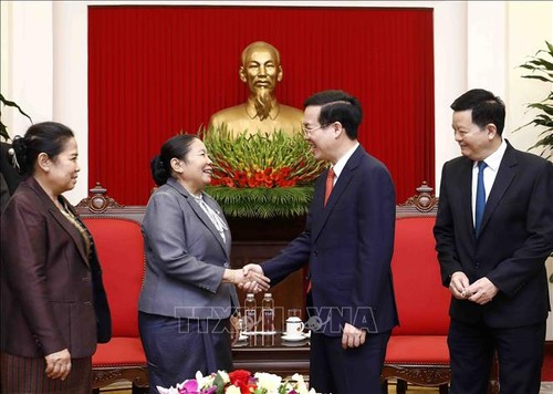 Thúc đẩy quan hệ hai Đảng, hai nước Việt Nam-Lào - ảnh 1