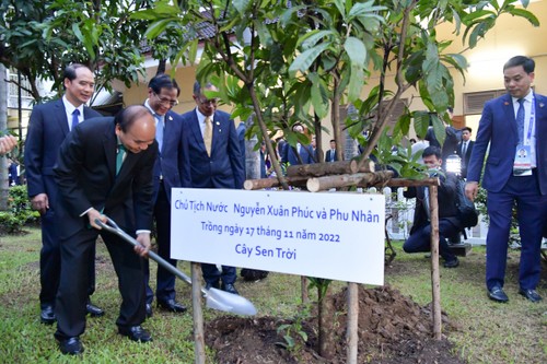 Chủ tịch nước Nguyễn Xuân Phúc thăm kiều bào và Đại sứ quán Việt Nam tại Thái Lan - ảnh 4