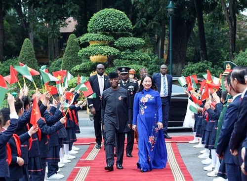 Việt Nam và Nigeria thúc đẩy hợp tác song phương đi vào chiều sâu và hiệu quả  - ảnh 1