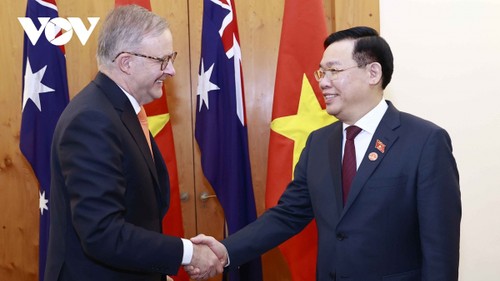 Việt Nam, Úc và New Zealand đã tăng cường tin cậy chiến lược với nhau. Chiến lược đối tác Việt Nam - Úc - New Zealand đã mang lại nhiều cơ hội hợp tác về kinh tế, xã hội và đào tạo chuyên môn. Hình ảnh lá cờ ba nước đang tung bay cùng nhau thể hiện sự hiểu biết, tôn trọng và gắn kết giữa các nước.