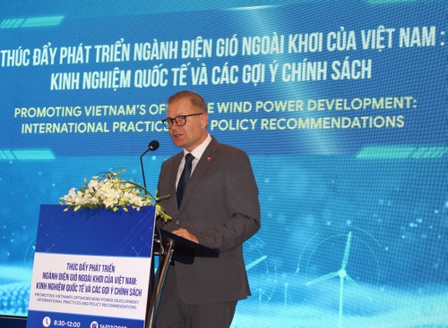 Hội thảo “Thúc đẩy ngành điện gió ngoài khơi của Việt Nam: Kinh nghiệm quốc tế và các gợi ý chính sách” - ảnh 2