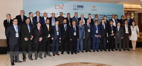 亚太通讯社组织(OANA)执行委员会第44次会议即将在河内举行 - ảnh 1