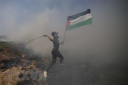 巴勒斯坦呼吁游行示威，反对美国《中东和平计划》 - ảnh 1