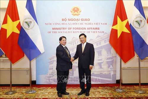 尼加拉瓜共和国外交部长对越南进行正式访问 - ảnh 1