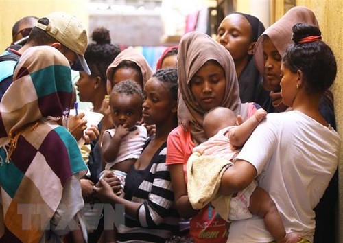 移民问题：非法入境利比亚的100多名尼日尔移民自愿返乡 - ảnh 1