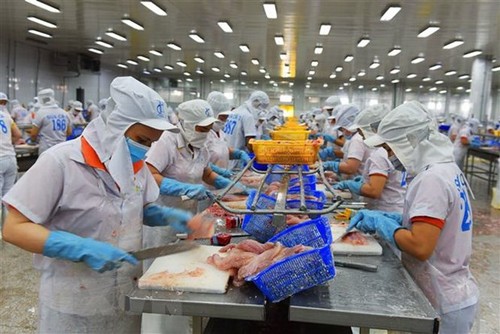 美国维持对越南茶鱼和巴沙鱼的反倾销税率 - ảnh 1