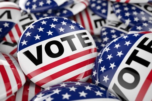 美国中期选举： 对美国总统和民主党的信心测试和一大挑战 - ảnh 2