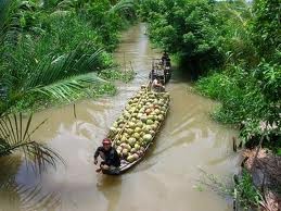 Ben Tre province honors coconut growers - ảnh 1