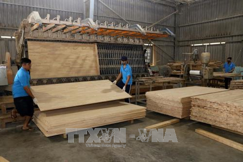Vietnam eyes 9 billion USD in forest product exports - ảnh 1