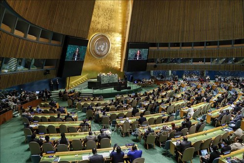 UN adopts Japan's antinuke resolution - ảnh 1