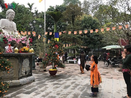 Lunar New Year visit to pagodas embraces Vietnam’s Tet tradition  - ảnh 2