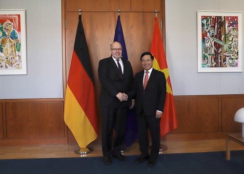 Deputy PM and Foreign Minister’s Germany visit successful: diplomat - ảnh 1