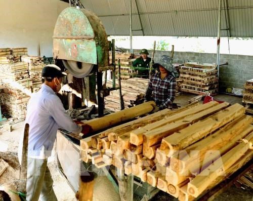 Vietnam targets 10.5 billion USD in forestry product export in 2019 - ảnh 1