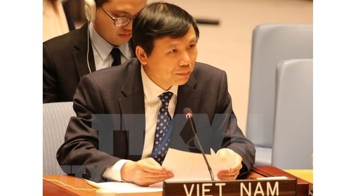 Vietnam insists on solving disputes through peaceful means - ảnh 1
