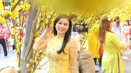 Tet Holiday in the heart of Vietnamese people abroad - ảnh 1