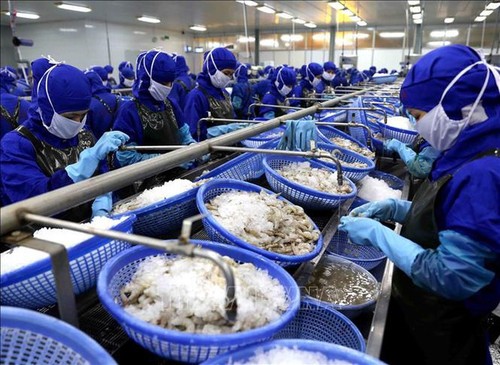 Da Nang businesses overcome difficulties during nCoV epidemic - ảnh 1
