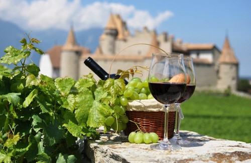 An insight into French wine - ảnh 1