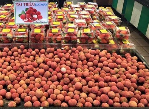 Vietnam’s fruit growers enjoy large export volumes  - ảnh 1