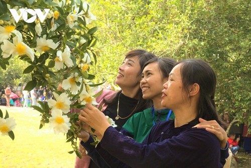 Binh Lieu in the white season of camellia oleifera  - ảnh 9
