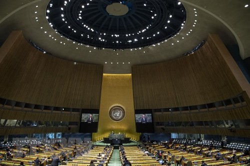 Iran, Central African Republic lose voting rights in UN General Assembly - ảnh 1