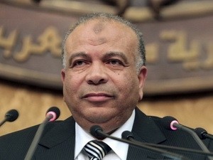 Parlamento de Egipto da primer paso hacia nueva Constitución - ảnh 1