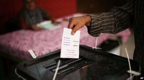 Suspenden en Egipto la publicación de los resultados electorales  - ảnh 1