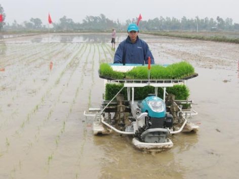 Mecanización eleva la producción agrícola y mejora la vida de campesinos - ảnh 3