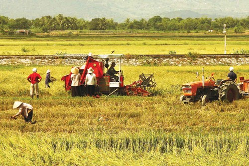 Mecanización eleva la producción agrícola y mejora la vida de campesinos - ảnh 1