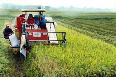 Reajustar acápites para mejorar las áreas rurales vietnamitas  - ảnh 1