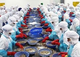 Crecen exportaciones agro-silvícolas y acuáticas de Vietnam  - ảnh 1