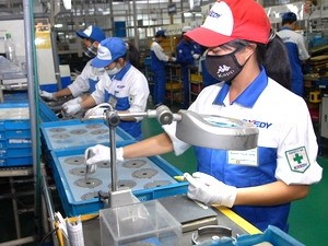 Vietnam promete preferencias a los inversores japoneses  - ảnh 1