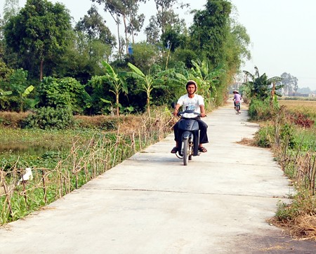 Binh Minh cumplirá pronto con la construcción rural - ảnh 2