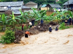 Siguen ofreciendo ayudas a las provincias damnificadas por el huracán Wutip  - ảnh 1