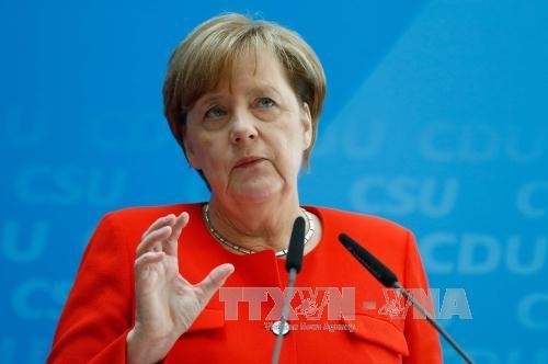 Angela Merkel espera lograr un consenso del G-20 en la lucha antiterrorista - ảnh 1