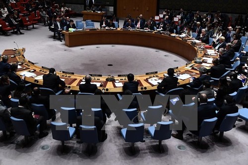 ONU debate soluciones para la crisis en Jerusalén Este  - ảnh 1