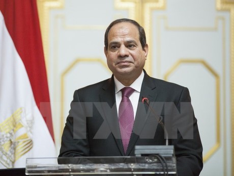 Presidente egipcio ratifica la ley para formar la Comisión Electoral Nacional  - ảnh 1