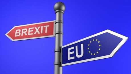 Empresarios europeos instan al Reino Unido a acelerar el ritmo de negociaciones del Brexit - ảnh 1
