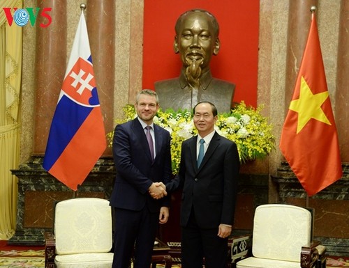 Presidente vietnamita recibe al vice premier eslovaco  - ảnh 1