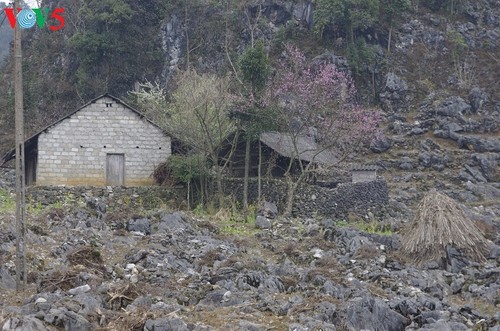 Los Mong y sus viviendas típicas de tierra - ảnh 2
