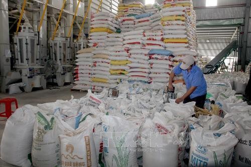 Aumentan exportaciones de arroz de Vietnam a Malasia  - ảnh 1