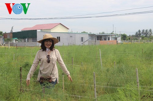 Viajes de “experiencias rurales” en Ninh Thuan - ảnh 1
