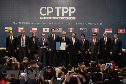 Vietnam y otros países impulsan la entrada en vigor del CPTPP - ảnh 1
