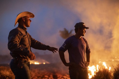 Brasil rechaza ayuda del G7 destinada a extinguir incendios en la Amazonía  - ảnh 1