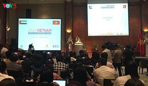 Vietnam y Emiratos Árabes Unidos afianzan conexión empresarial - ảnh 1