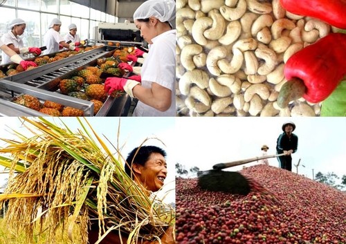 Mantiene Vietnam crecimiento de exportaciones agrícolas, silvícolas y acuícolas - ảnh 1