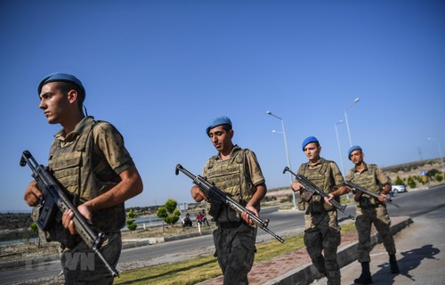 Países europeos advierten que injerencia de Turquía en Libia aumenta la crisis - ảnh 1