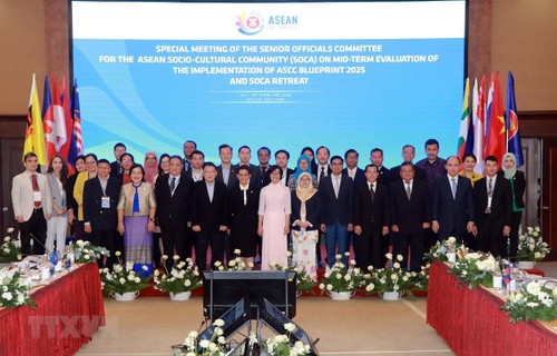 Conferencia de altos funcionarios a cargo de la comunidad sociocultural de la Asean - ảnh 1